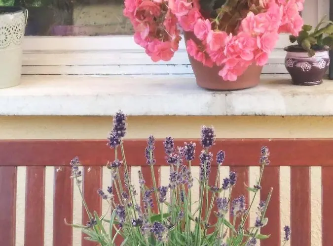 Szemi Ház Appartamento Sárvár